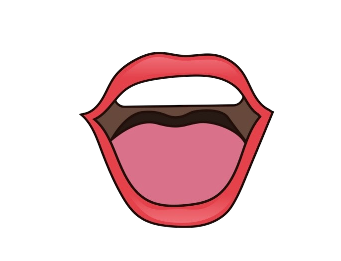 口画像